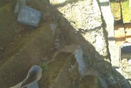 rockfield 1112.JPG